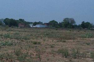  Agricultural Land for Sale in Kishangarh, Alwar