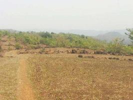  Agricultural Land for Sale in Chiplun, Ratnagiri