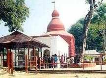 9 BHK Farm House for Sale in Vipin Garden, Dwarka, Delhi