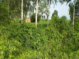  Agricultural Land for Sale in Landran, Chandigarh