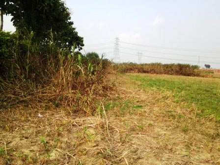  Residential Plot 5 Acre for Sale in NH 24 Highway, Ghaziabad