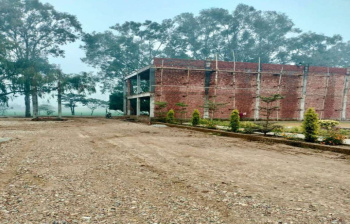  Residential Plot for Sale in Rama Mandi, Jalandhar