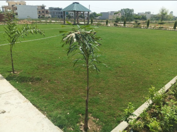 4 BHK House for Sale in Rama Mandi, Jalandhar
