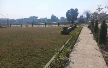 3 BHK House for Sale in Kalia Colony, Jalandhar