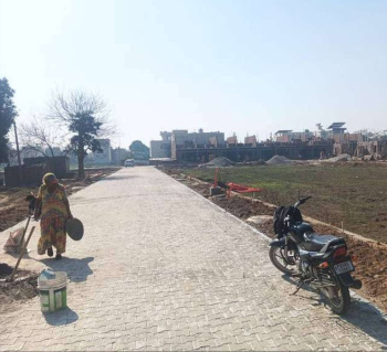  Residential Plot for Sale in Rama Mandi, Jalandhar