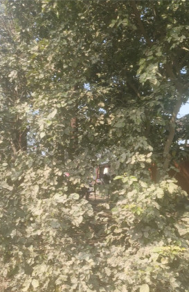  1600 Sq. Yards Residential Plot for Sale in Anoopshahar Road, Aligarh