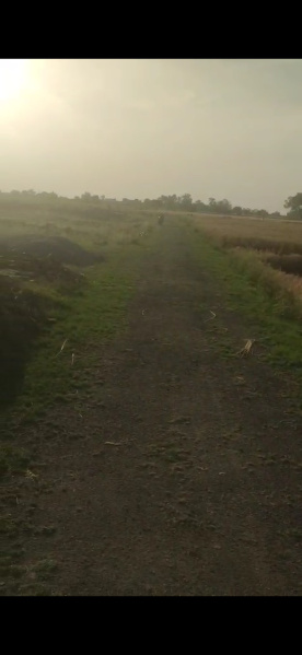  5 Bigha Residential Plot for Sale in Sarsol, Aligarh