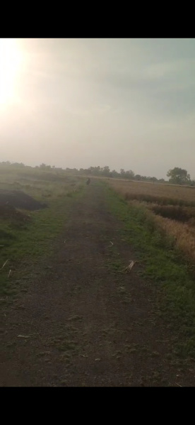  5 Bigha Residential Plot for Sale in Sarsol, Aligarh