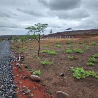  Residential Plot for Sale in Yavat, Pune