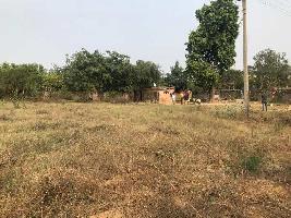  Agricultural Land for Sale in Ansal Satbari, Delhi