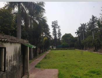  Agricultural Land for Sale in D Block Kapas Hera Estate, Kapashera, Delhi