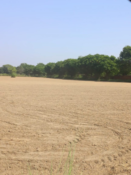  Agricultural Land for Sale in Kapashera, Delhi