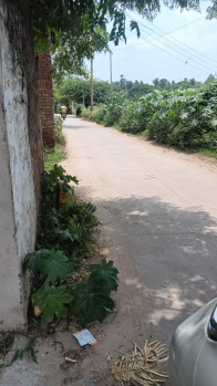 1 RK Farm House for Sale in Rajokri, Delhi