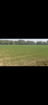  Agricultural Land for Sale in Nanu Ram Park, Najafgarh, Delhi