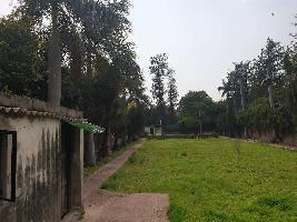  Agricultural Land for Sale in Kapashera, Delhi