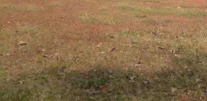 Residential Plot for Sale in Stadium Bypass Road, Palakkad