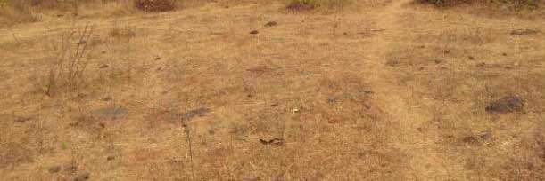 Commercial Land 70 Cent for Sale in Kuzhalmannam, Palakkad