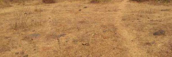  Residential Plot for Sale in Polpully, Palakkad