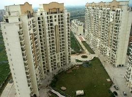 3 BHK Flat for Sale in Sector 33 Gurgaon