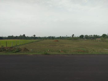  Agricultural Land for Sale in Dankaur, Gautam Buddha Nagar