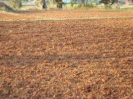  Agricultural Land for Sale in Jolarpet, Vellore