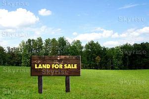  Agricultural Land for Sale in Sohna Road, Gurgaon