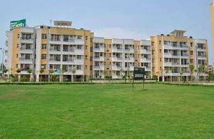 2 BHK Flat for Sale in Ambala City