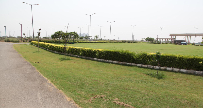  Residential Plot 168 Sq. Yards for Sale in Yamuna Expressway, Greater Noida