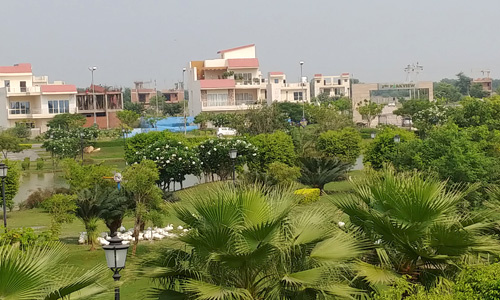  Residential Plot 78 Sq. Yards for Sale in Yamuna Expressway, Greater Noida