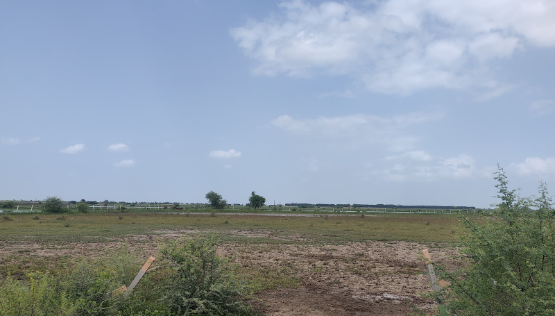  Residential Plot 100 Sq. Yards for Sale in Dholera, Ahmedabad