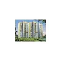 3 BHK Flat for Sale in Sector 168 Noida