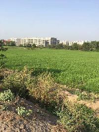  Agricultural Land for Sale in Bardoli, Surat