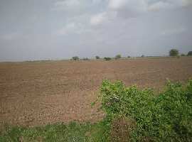  Agricultural Land for Sale in Viramgam, Ahmedabad