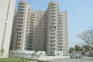 3 BHK Flat for Rent in Greater Faridabad