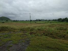  Agricultural Land for Sale in Eklahare, Nashik