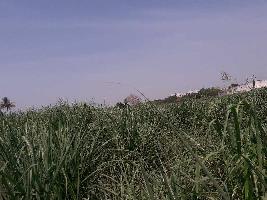  Agricultural Land for Rent in Satpur, Nashik