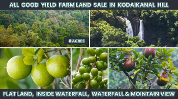  Agricultural Land for Sale in Kodaikanal, Dindigul