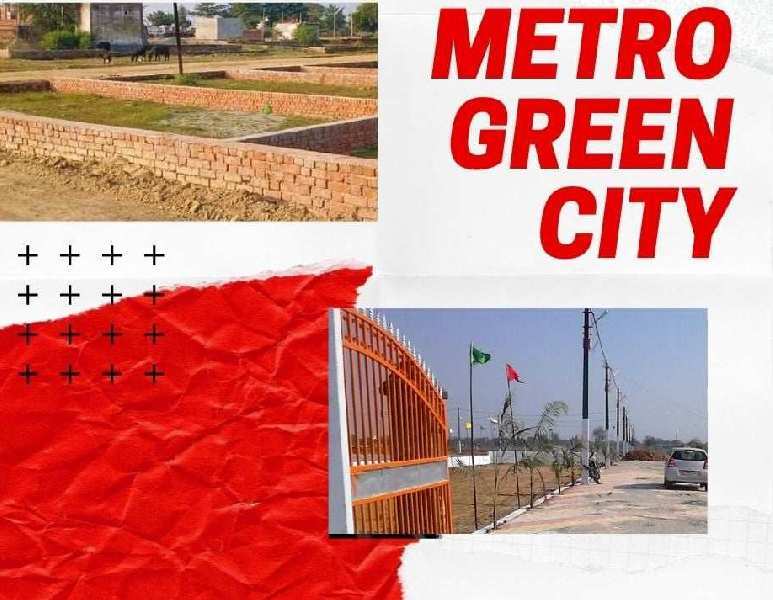 Ms Metro Green City