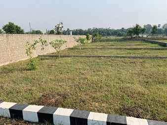  Residential Plot 600 Sq.ft. for Sale in Taramandal, Gorakhpur