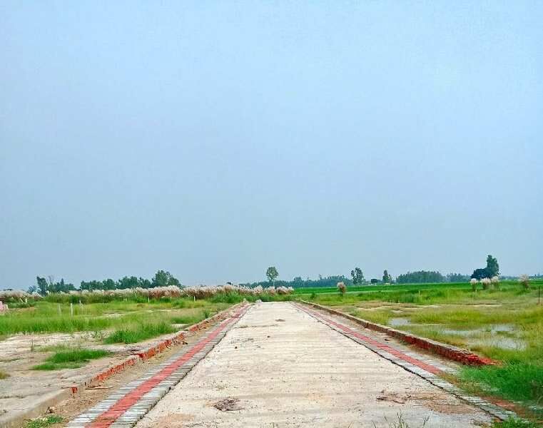  Residential Plot 1050 Sq.ft. for Sale in Taramandal, Gorakhpur