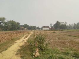  Residential Plot for Sale in Taramandal, Gorakhpur