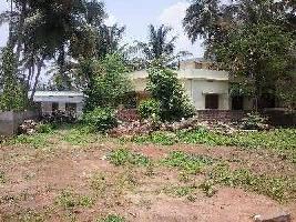  Residential Plot for Sale in Vadakkanthara, Palakkad