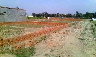  Residential Plot for Sale in Dadri Road, Noida