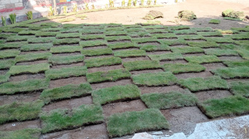  Residential Plot for Sale in Dholera, Ahmedabad