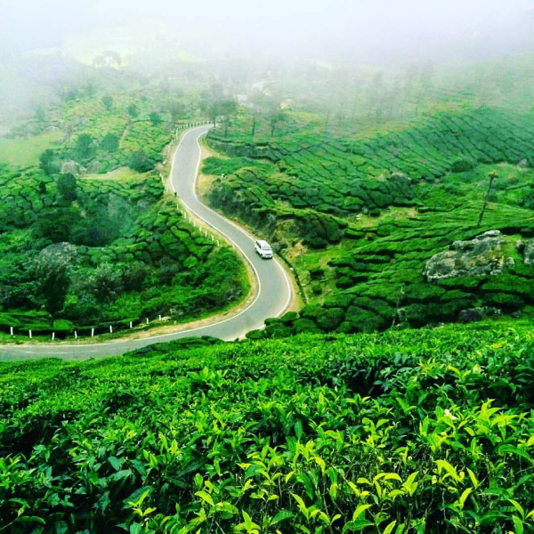 Agricultural Land 35 Cent for Sale in Munnar, Idukki