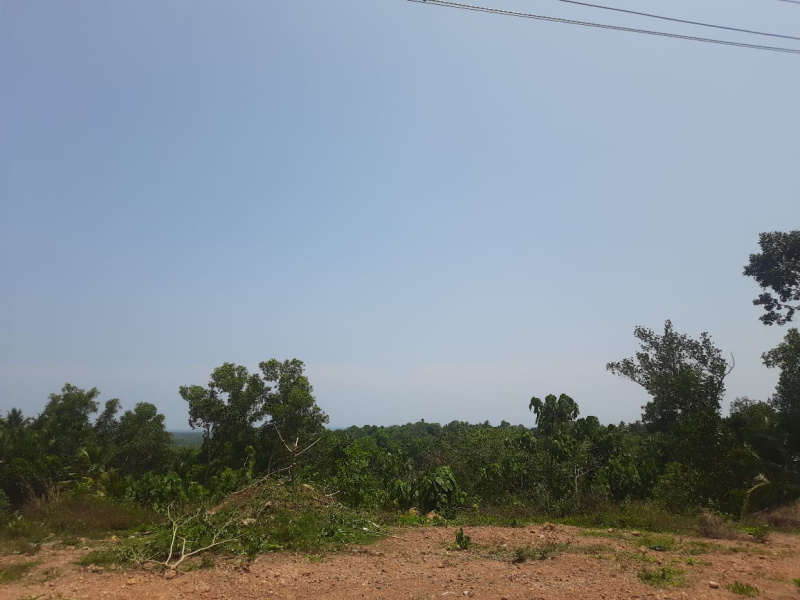  Residential Plot 150 Cent for Sale in Sasthavattom, Kazhakuttam, Thiruvananthapuram