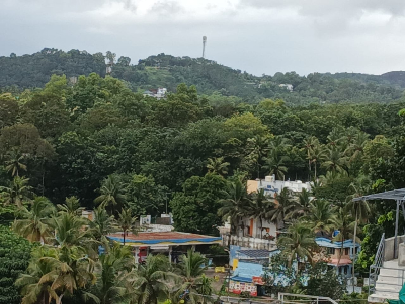 3 BHK 1560 Sq.ft. Villa for Sale in Peyad, Thiruvananthapuram