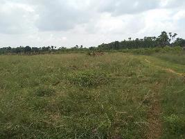  Commercial Land for Rent in Tiptur, Tumkur