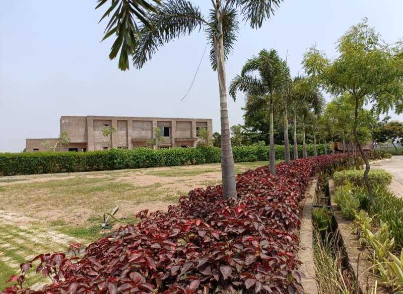  Residential Plot 1000 Sq.ft. for Sale in Bhatagaon, Raipur