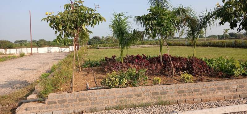  Residential Plot 785 Sq.ft. for Sale in Amleshwar, Raipur